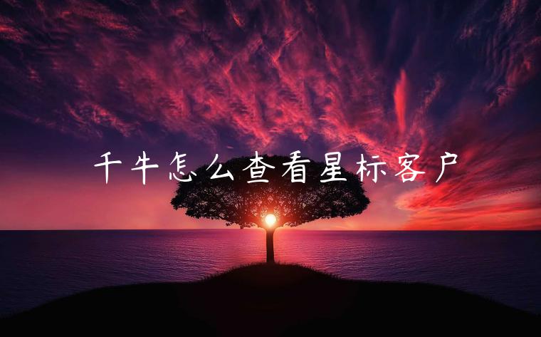 千牛怎么查看星標(biāo)客戶